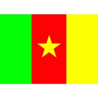 Kamerun - flaga
