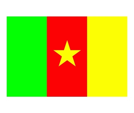 Kamerun - flaga