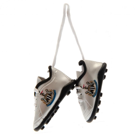 Newcastle United - zawieszka