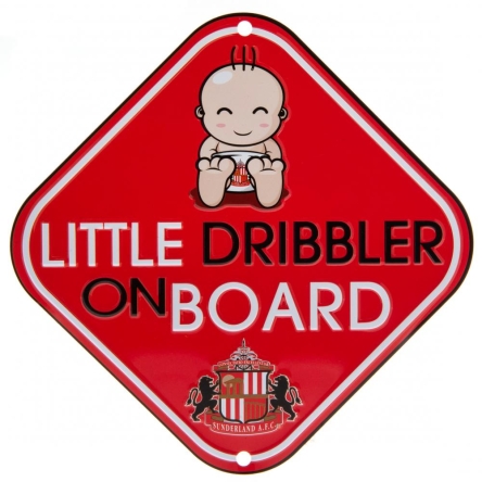 Sunderland AFC - zawieszka