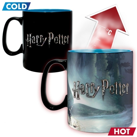 Harry Potter - duży kubek