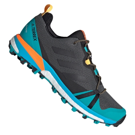 Buty adidas Terrex Skychaser LT GTX rozmiar 42 grafitowe/niebieskie