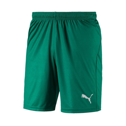 Spodenki Puma Liga Core shorty rozmiar L zielone