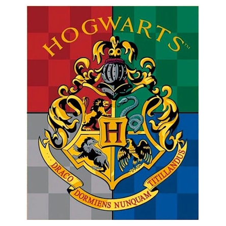 Harry Potter - koc polarowy Hogwart