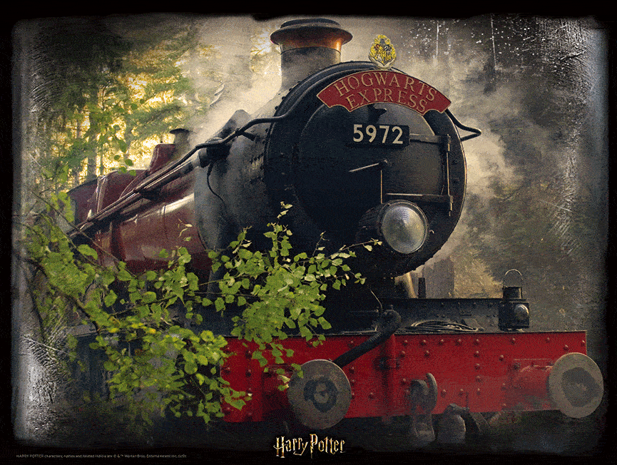 Harry Potter 3D Image puzzle 500 szt. Hogwart Express