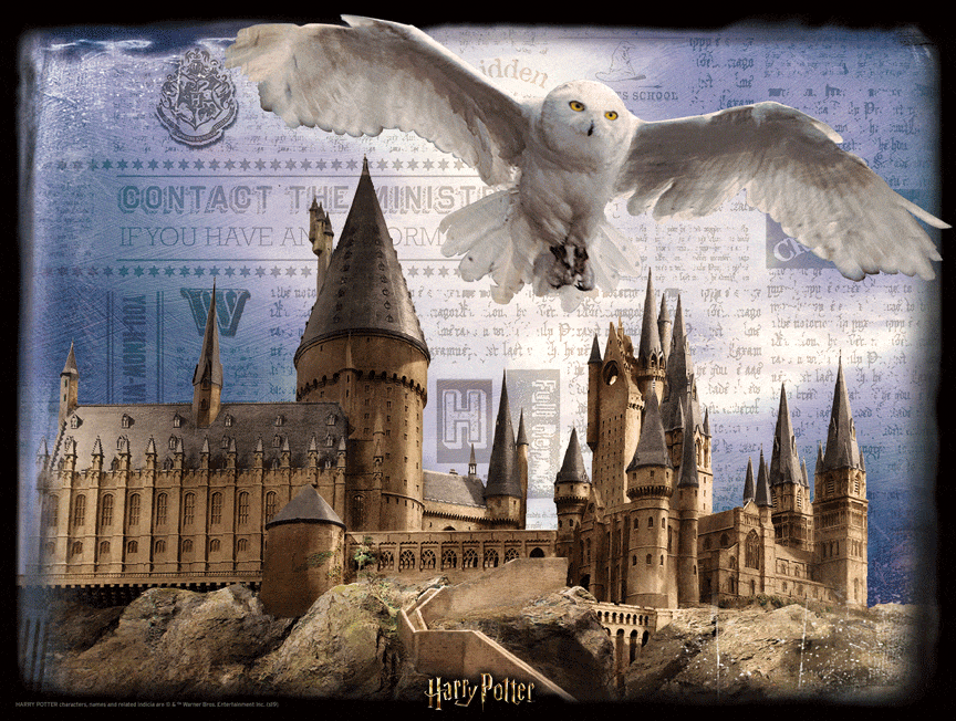 Harry Potter 3D Image Puzzle 300pc Hogwart & Hedwig