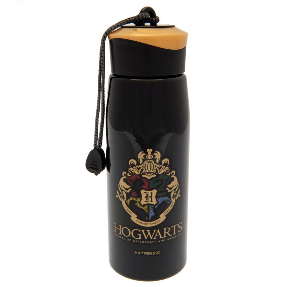 Harry Potter bidon