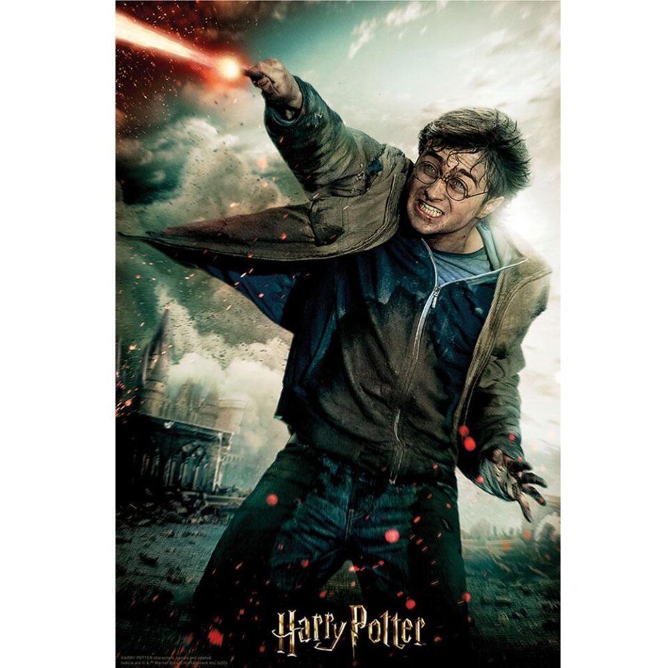 Harry Potter 3D Image Puzzle 300pc Harry