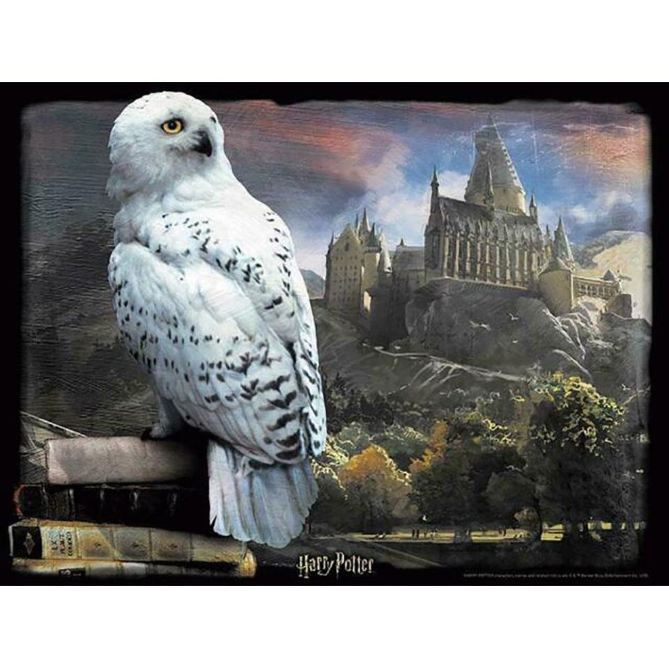 Harry Potter 3D Image Puzzle 300pc Hedwig